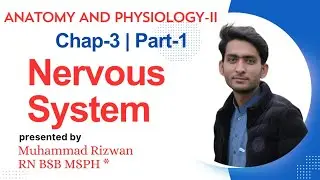 Nervous System|| Anatomy and Physiology-2|| Chap-3,Part-1|| Urdu/Hindi || BSN Study, KMU,MCQS