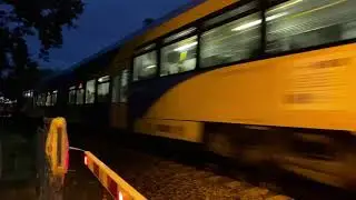 Yellow and Blue Newag 220M PolRegio in Jastarnia to Gdynia Gł&oacute;wna