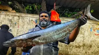 Vanjaram fish slice cutting video/#fishcuttingsk #kasimedufishmarket #viralvideo
