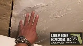 Re-inspection