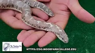 Welcome to The Teaching Zoo at Moorpark College