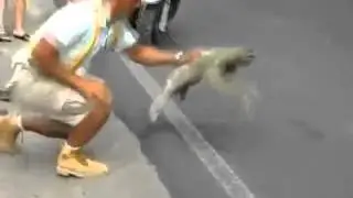 The flying sloth