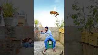 Flying body parts Vs Fish eating game for Cute brothers 😄😉 #trending #shorts