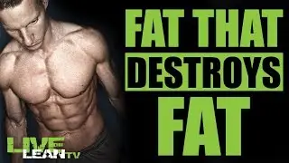 Brown Fat Vs White Fat Cells: How To Create Brown Fat To Burn More Fat