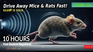 Rodent Repellent Sound Drive Away Mice & Rats Fast! 🐭🐀🔊 | 10 Hour Ultrasonic Protection | Human Free