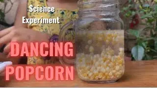 Dancing Popcorn Experiment | Easy Science Experiment For Kids