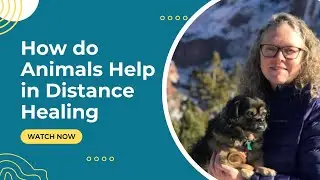 How do Animals Help in Distance Healing