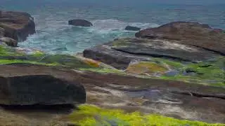 beach watercolor compositing in blender (NOT AI)
