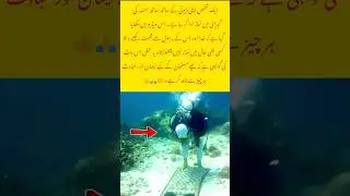 Diver Prays Underwater #Prayer#Islam#Diver#UnderwaterPrayer#MuslimDiver #trading #shorts