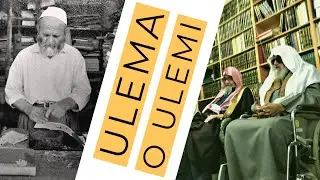 Šta je rekao Abdulmuhsin El-Abbad nakon smrti šejha Albanija?