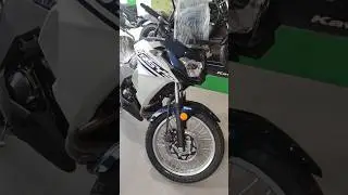 Quick walkaround of Kawasaki Versys X 300 in blue 💙..#youtube#bike#yt #versysx300#kawasaki#shorts