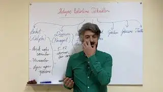 16)İhtiyaç Belirleme Teknikleri (Program Geliştirme)