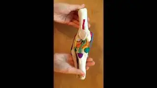 Knee Joint Project