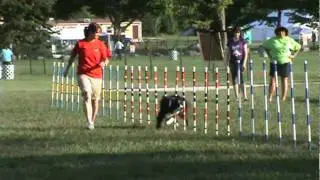 Slice - Canadian Weavepole Champion