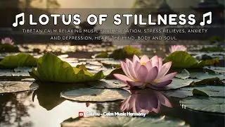 Lotus of Stillness - Relaxing Sleep Music + Insomnia - Stress Relief, Relaxing Music, Deep Sleeping🎵