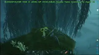 Live Ark Genesis Egg Hatching Time