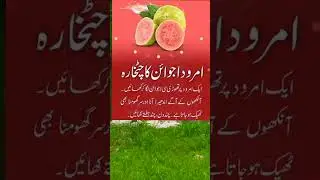 امرود کے فوائد