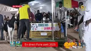 En direct Foire alett 2025, Categories male adulte