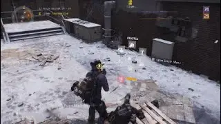 The Division Rogue 29 DZ Action - EAD / Headshot Build