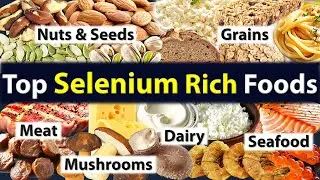 Top Selenium Rich Foods – Nuts, Seeds, Beans, Mushrooms, Dairy, Meat, etc. – High Selenium Foods
