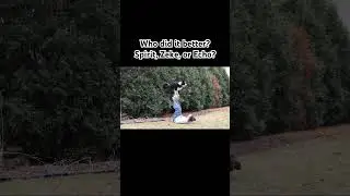 Who did it better?  #whippet #bordercollie #papillon #dogtricks #competition #dog #doglover #puppy