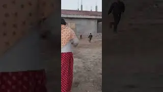 Playing pittho #pittho