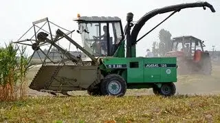 Sieczkarnia Maral 125 - siekanie kukurydzy na kiszonkę