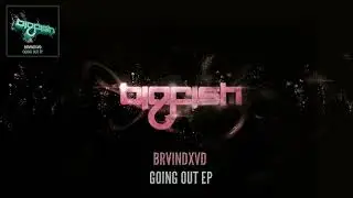 BRVINDXVD - Going Out