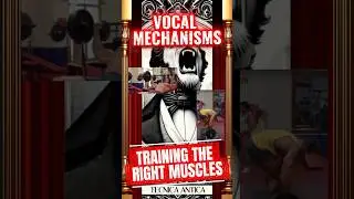 Vocal mechanisms ( Chest vs Head voice ) Train the right muscle groups. 🇬🇧🇪🇸