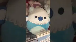 Squishmallows - Holiday / Christmas 2023.  Toy Hunting at Shoppers Drug Mart. #shorts