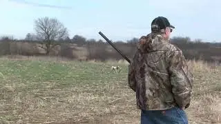 4B's Hunting Resort | KOAM Outdoors Upland Hunts