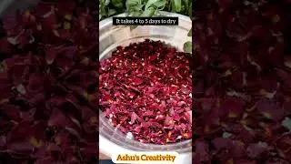 Homemade rose petal powder 100% Natural |Diy Natural Rose Powder😍#shorts