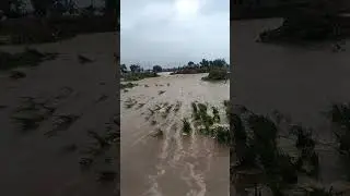Ghaggar River Panihari News 6 September 2025 #flood