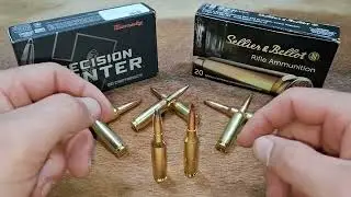 Soft Point vs Hornady ELD X  What Should You Use for Hunting