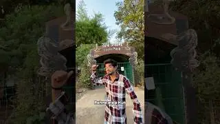 HIDING IN ZOO