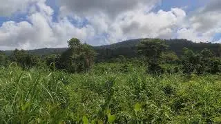 72 waterfall with nature sounds, veal puosh, kampot, Cambodia