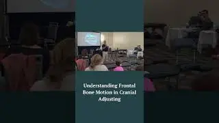 Understanding Frontal Bone Motion: Flexion, Extension & the Blueprint for Precise Cranial Adjusting