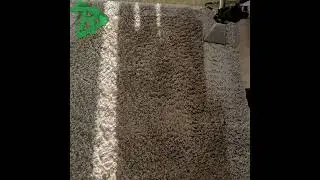 Raf's Cleaning Service Ltd Failsworth best rug cleaners 1