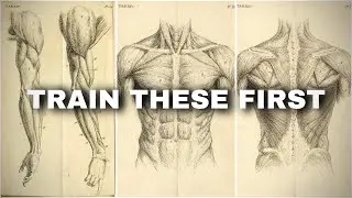 3 Muscles That Change Your Physique FAST (Beginner Mistake)