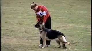 2001 GSDCA National Bitches Judge Jack Newton