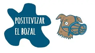 Cómo positivizar el BOZAL