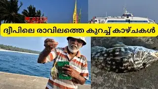 ദ്വീപിൽ ഇന്ന് കിട്ടിയത് മെട്ടിയെ 🐟|Fishing in lakshadweep |JAZZVLOG