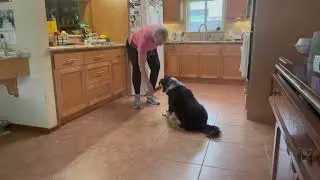 Marker Cues- Click, Toss, Scatter, Good (room service/slow cookie)