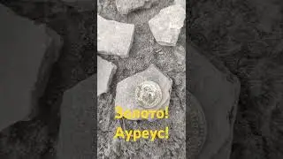 Золото! Ауреус! Поиск золота и серебра с металлоискатель.