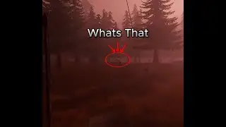 Why is everything dark....