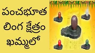 శివలింగ ప్రతిష్ట మహోత్సవము | Narmadeswar Shivalinga Pratista | Shiva Mahadev | #shivaratri2024 #src