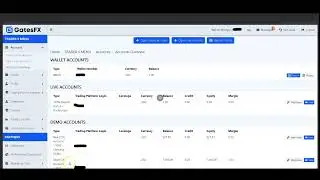 My Blue Print Towards One Million Dollars  Explained