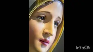 Estrella del Mar (Jos&eacute; Rojas)