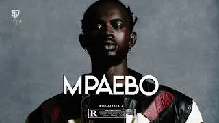 [FREE] BLACK SHERIFF x SARKODIE 