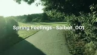 Spring Feelings (Official Video) - Saibot_001
